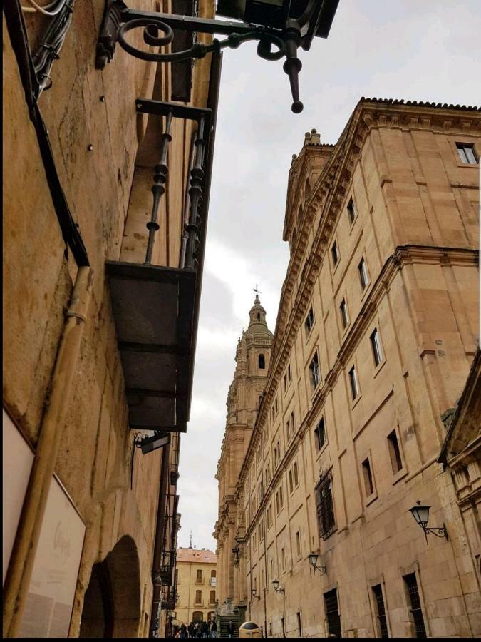 Appartamento Apartamento S-Xviii La Ranita Salmantina Salamanca Esterno foto